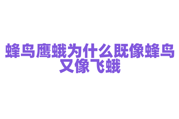 蜂鸟鹰蛾为什么既像蜂鸟又像飞蛾，它的进化特征和生态位有什么特别之处？