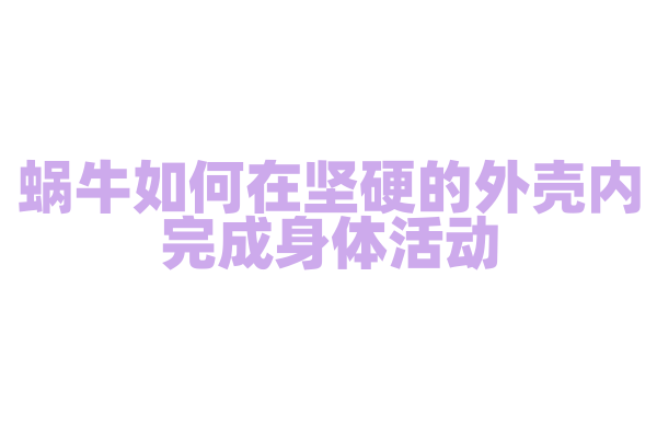 蜗牛如何在坚硬的外壳内完成身体活动？