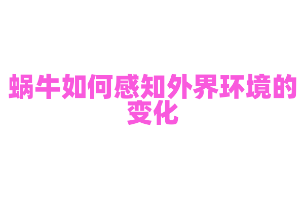 蜗牛如何感知外界环境的变化？