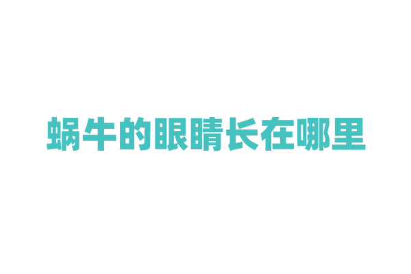 蜗牛的眼睛长在哪里，视力如何？