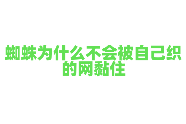 蜘蛛为什么不会被自己织的网黏住？