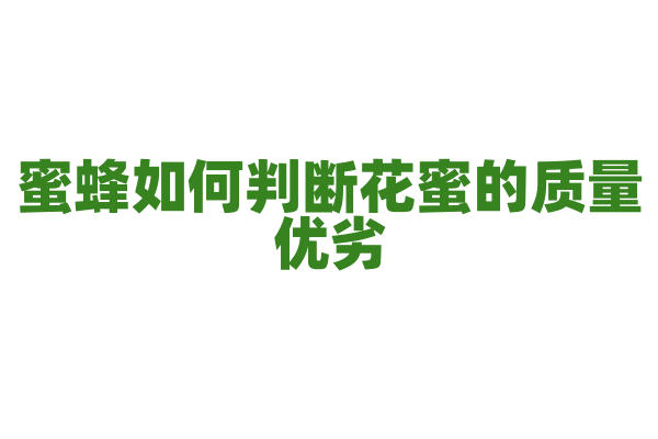 蜜蜂如何判断花蜜的质量优劣？