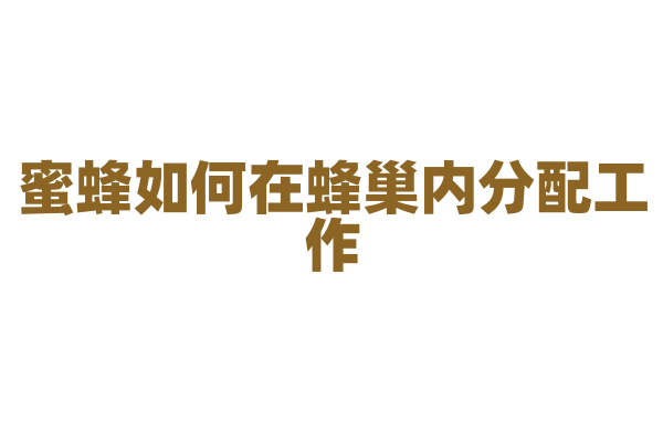蜜蜂如何在蜂巢内分配工作？