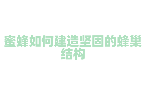 蜜蜂如何建造坚固的蜂巢结构？