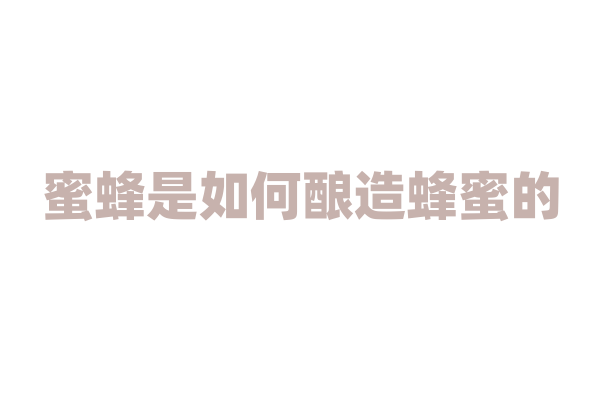 蜜蜂是如何酿造蜂蜜的，蜂蜜的成分有哪些？