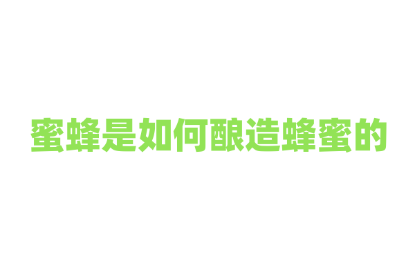 蜜蜂是如何酿造蜂蜜的？