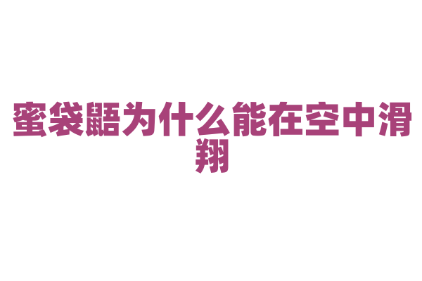 蜜袋鼯为什么能在空中滑翔，它的身体结构和滑翔原理是什么？