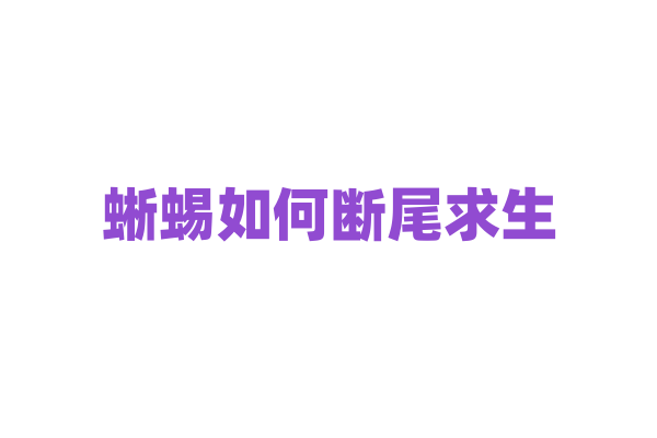 蜥蜴如何断尾求生，断尾后又如何恢复？