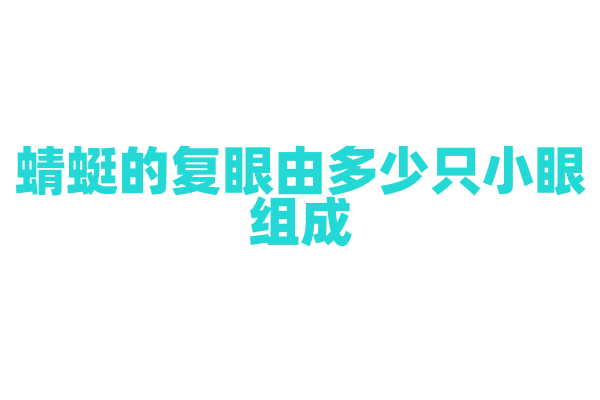 蜻蜓的复眼由多少只小眼组成，有什么优势？