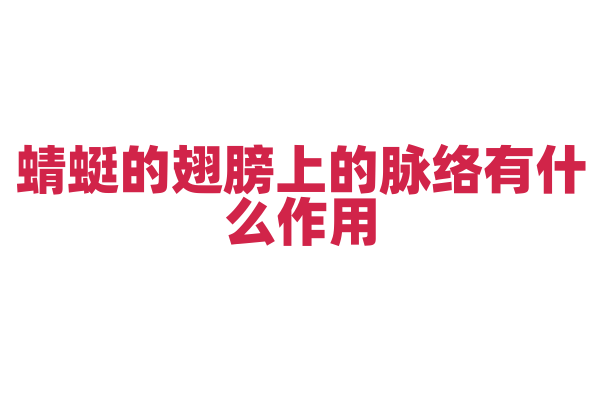 蜻蜓的翅膀上的脉络有什么作用？