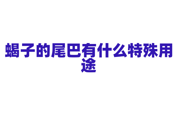 蝎子的尾巴有什么特殊用途？