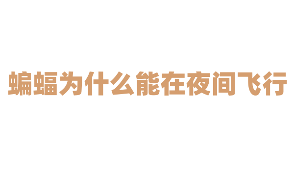 蝙蝠为什么能在夜间飞行，它的超声波定位是怎么回事？