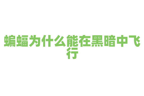 蝙蝠为什么能在黑暗中飞行，它的视力到底如何？
