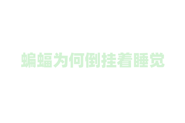 蝙蝠为何倒挂着睡觉？