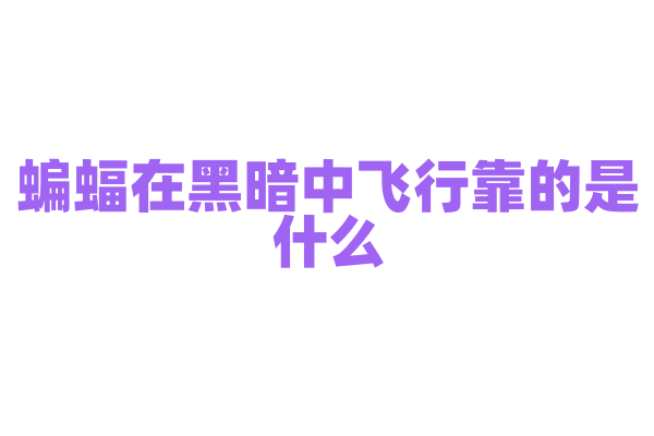 蝙蝠在黑暗中飞行靠的是什么