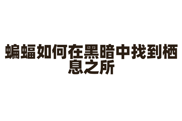 蝙蝠如何在黑暗中找到栖息之所？