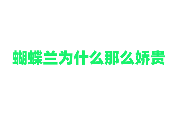 蝴蝶兰为什么那么娇贵，它对生长环境有哪些苛刻要求？
