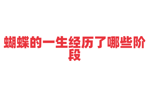 蝴蝶的一生经历了哪些阶段，它是如何蜕变的？