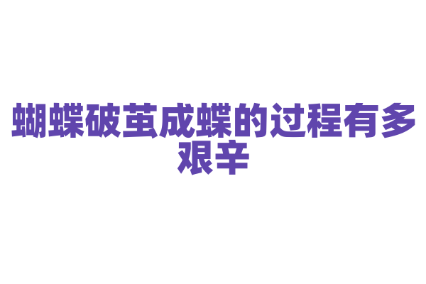 蝴蝶破茧成蝶的过程有多艰辛