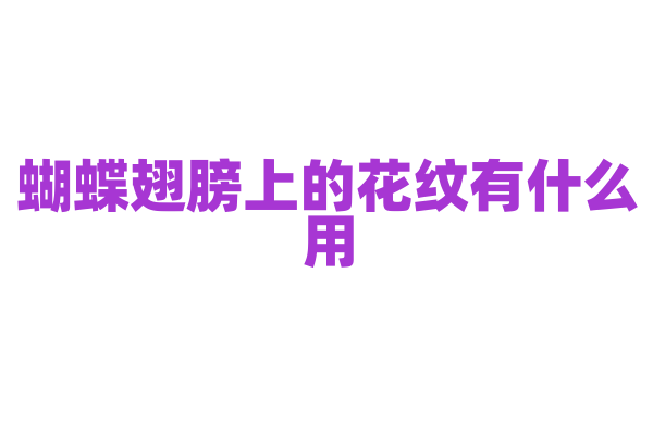 蝴蝶翅膀上的花纹有什么用？