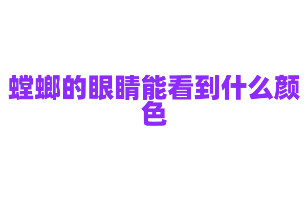 螳螂的眼睛能看到什么颜色？