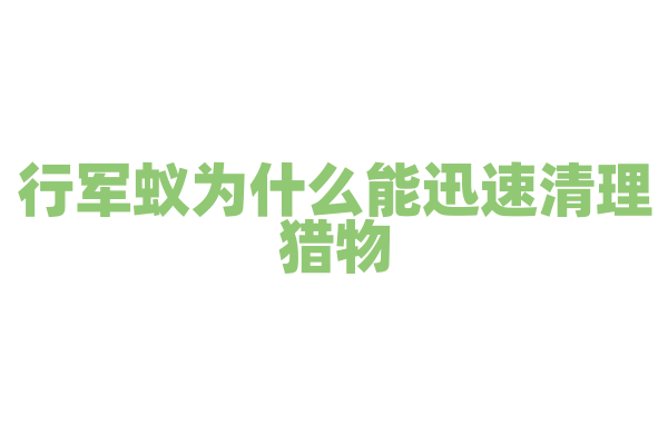 行军蚁为什么能迅速清理猎物，它们的群体协作和分工是怎样的？