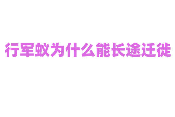 行军蚁为什么能长途迁徙，它们的群体行动模式是怎样的？
