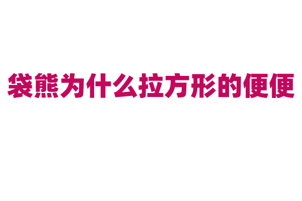 袋熊为什么拉方形的便便，它的肠道结构有什么特殊之处？