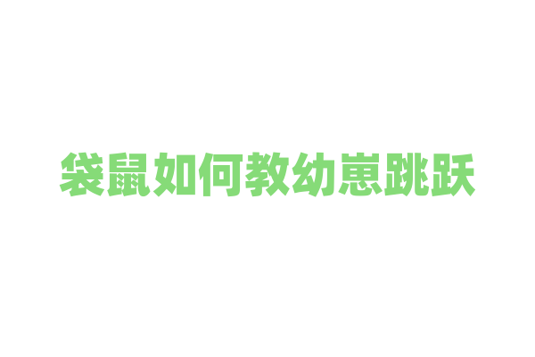 袋鼠如何教幼崽跳跃？