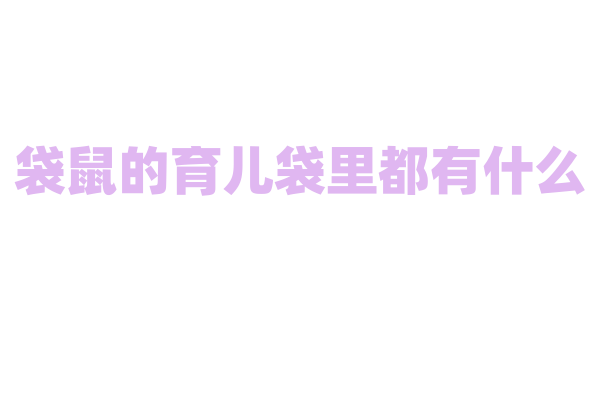 袋鼠的育儿袋里都有什么，小袋鼠在里面怎么生活？