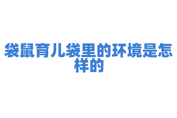 袋鼠育儿袋里的环境是怎样的？