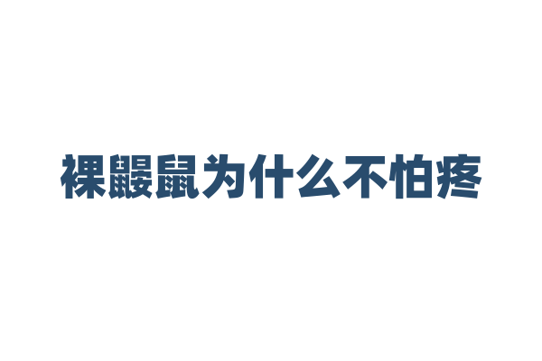 裸鼹鼠为什么不怕疼，它的神经系统和生存环境有什么关联？