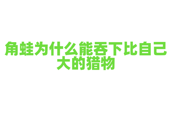 角蛙为什么能吞下比自己大的猎物，它的嘴巴和吞咽方式有什么特点？
