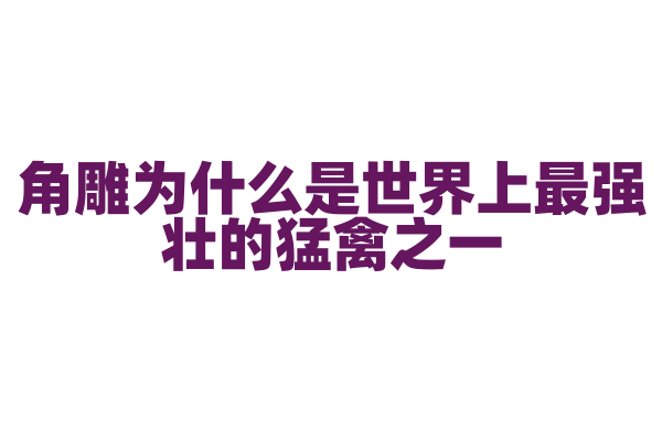 角雕为什么是世界上最强壮的猛禽之一，它的捕猎能力和体型有什么关系？