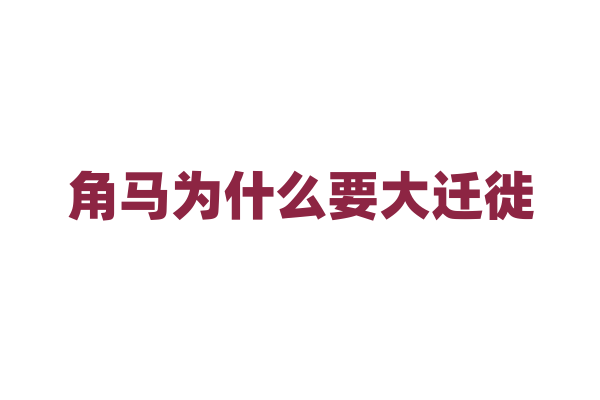 角马为什么要大迁徙，它们迁徙过程中面临哪些挑战？