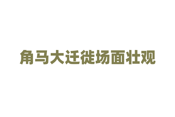 角马大迁徙场面壮观，它们如何寻找路线？