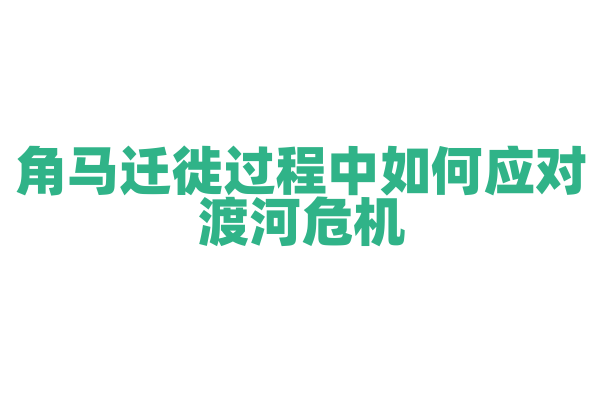 角马迁徙过程中如何应对渡河危机?