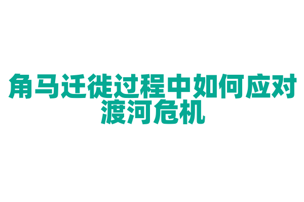 角马迁徙过程中如何应对渡河危机？