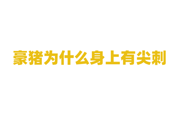 豪猪为什么身上有尖刺，它是如何利用这些尖刺防御的？