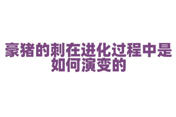 豪猪的刺在进化过程中是如何演变的？