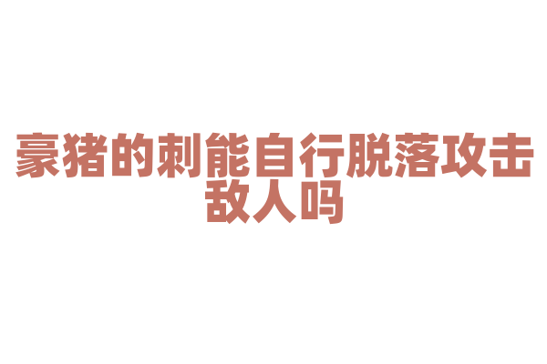 豪猪的刺能自行脱落攻击敌人吗？