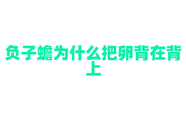 负子蟾为什么把卵背在背上，这种繁殖方式有什么好处？