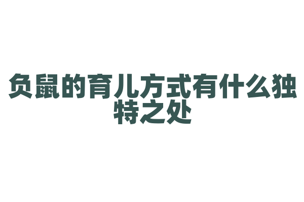 负鼠的育儿方式有什么独特之处？