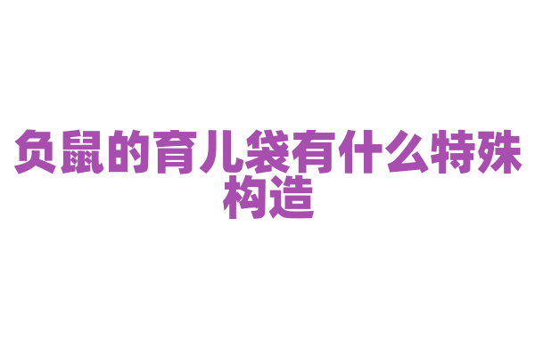 负鼠的育儿袋有什么特殊构造？
