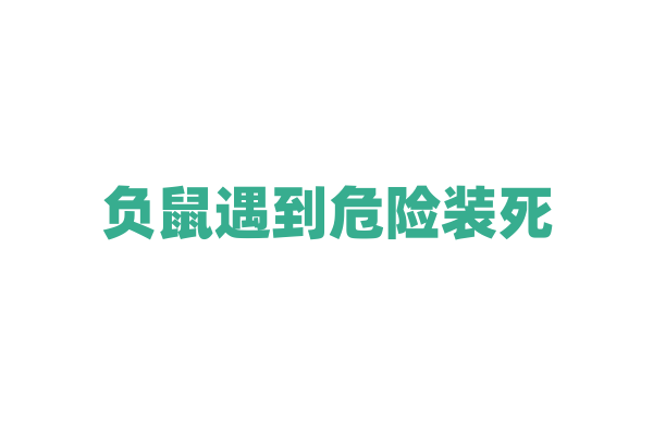 负鼠遇到危险装死，真能骗过天敌？