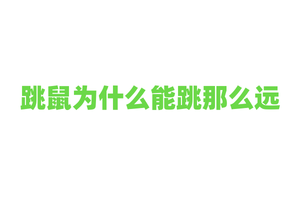 跳鼠为什么能跳那么远，它的腿部结构和肌肉力量有什么特点？