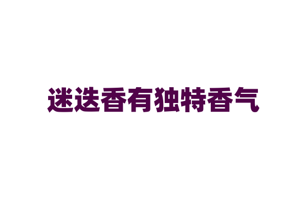 迷迭香有独特香气，在烹饪中有哪些妙用？