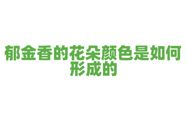 郁金香的花朵颜色是如何形成的