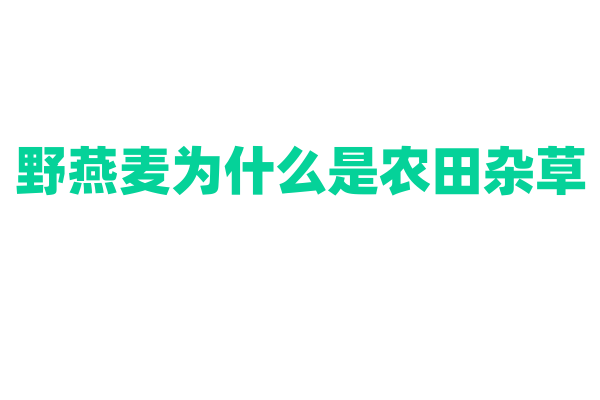 野燕麦为什么是农田杂草，它与农作物竞争的方式和危害有哪些？