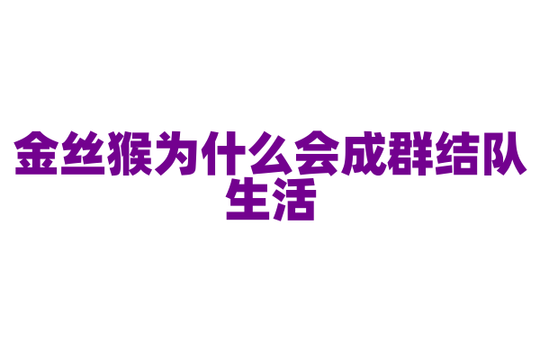 金丝猴为什么会成群结队生活？